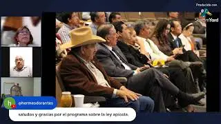 Podcast # 9: Ley Apícola