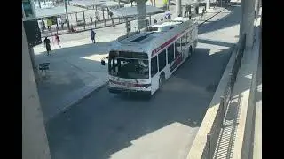 SEPTA 2010 New Flyer DE40LFR #8404 On Route 20
