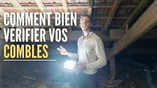 How to Properly Inspect Your Attic
