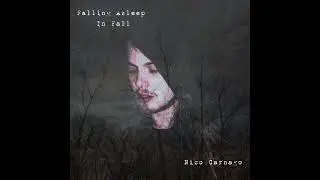 Nico Carnago - What A Beautiful Life