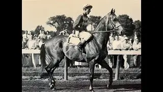 Native Dancer - 1953 Travers Stakes, Saratoga