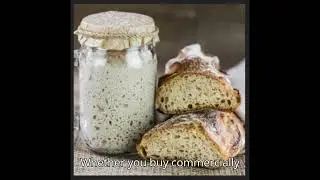 sourdough bread, what's the big deal
