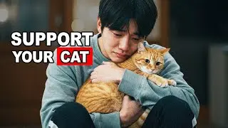 7 Signs Your Cat Is Emotionally Struggling&mdash;And How to Help