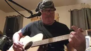 Passenger cover  w loop pedal.....Iggy Pop
