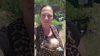 #compostingtips #gardenbeds #momlifebalance #outdoortherapy #sun #growingtogether #gardentotable