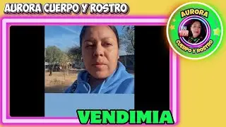 Andamos en la vendimia de chavas