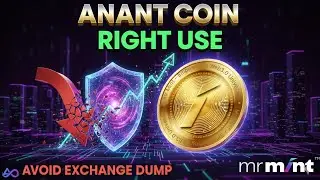Mr mint | Anannta | ANANT COIN USE CASE Explain | Price Maintain Strategy | Avoid Sell on Exchange 
