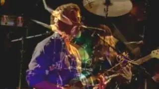 The David Thornton Band