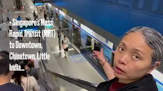 Don't Waste Your Layover! ✈️ Singapore Changi Stopover Guide!