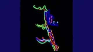 Randomandomania