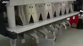 AMD Buckwheat Color Sorting/Sortex/Sorter Machine