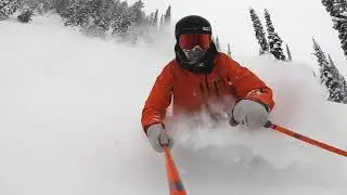 Amazing Champagne Powder in Fernie BC | The Powder Highway