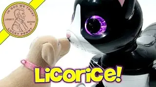 Zoomer Kitty Cat, Your Purrfect Friend!