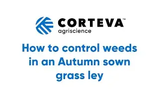 How to control weeds in an autumn sown grass ley