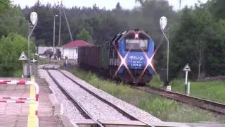 ST40s-01 i ST40s-09 w Zwierzyńcu
