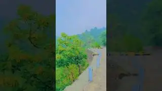 Murreemein 💦🌺#MysteryUnleashed#sharad #tiktok #youtubemilestone 🌲