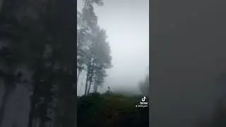 under the mist #cyclinglife #cycling #nearktm #mist #underthemist #nature #naturelover