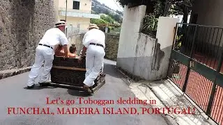 SOLO TRAVELER | CARNIVAL LEGEND | FUNCHAL (MADEIRA ISLAND) PORTUGAL [PART I: TOBOGGAN SLEDDING]
