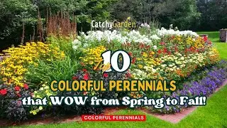 Colorful Perennials: 10 Colorful Perennials that WOW from Spring to Fall! 🌈 🌼🌻 // Gardening Ideas