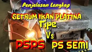 SETRUM IKAN TIPE PSPS Vs PS Semi