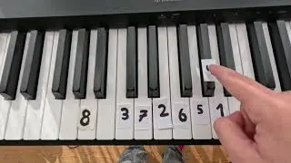 Rat dance/ piano
