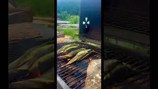 EN ALG&Uacute;N LUGAR DE ATLANTA,GA😇 ASANDO ELOTES. (CORN GRILL)😍