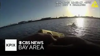 Attorneys say man in coma after being tased by East Bay Regional Park officer