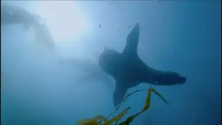 Monterey Bay California | April 2025