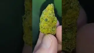 Sonic Lemon Fuel 34%thc.... M.P.C