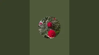 jaimahamaya -2006  is live Sabi ka welcome hi mete winter Special live Support