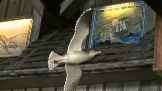 Chicago's Best Seafood: Port Edward