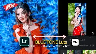 Blue Tone Filter Preset For VN And Lightroom Mobile | Colour Grading