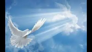 Honoring the life of Marie Yolene Palaqué | 1/24/2026