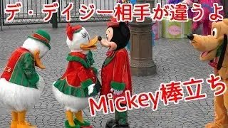 デイジーがドナルドの目の前で・・・・3匹の動きが可愛い（笑）