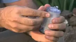 Mosquito Magnet Attractants   How to Use Lurex3 and Octenol