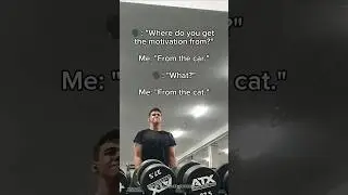 Cat motivation 🗣 [gym memes]