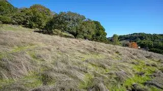 7 School Terrace, Novato, CA 94945