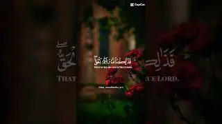 islam video shorts #quran #القرآن_الكريم #коран #islamicvideo #субханаллах #islamic #напоминание