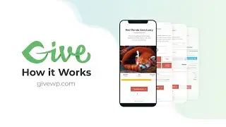 How Does GiveWP Work?