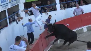 CHATEAURENARD-Course Camarguaise-Finale Avenir-02/10/2022