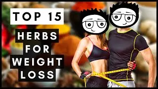 Top 15 Herbs For Weight Loss