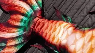Oasis Waterlust Mermaid Tail