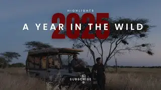 Gamewatchers Safaris 2025 Year in Review | Community Conservancy Safaris in Kenya