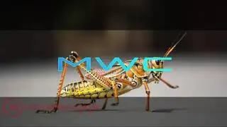 ⚡Sapphire - Tobu .mp4