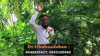 PROMOTION : Natural remedy for Erectile disfunction,Piles by The Herba Professor#fypシ 