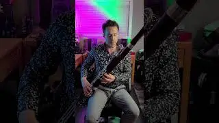 How to Use Octaver with Delay -- Electric Bassoon