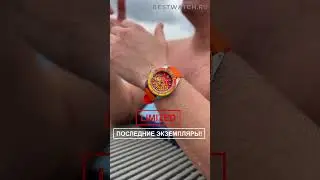 Spinnaker SpongeBob - УСПЕЙ КУПИТЬ