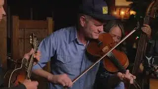 Foghorn Stringband - Best Timber