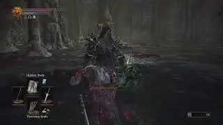 Dark Souls 3 Farron Keep Darkwraith Souls (and Dark Set) farm