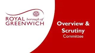 Overview and Scrutiny: 10 July 2025